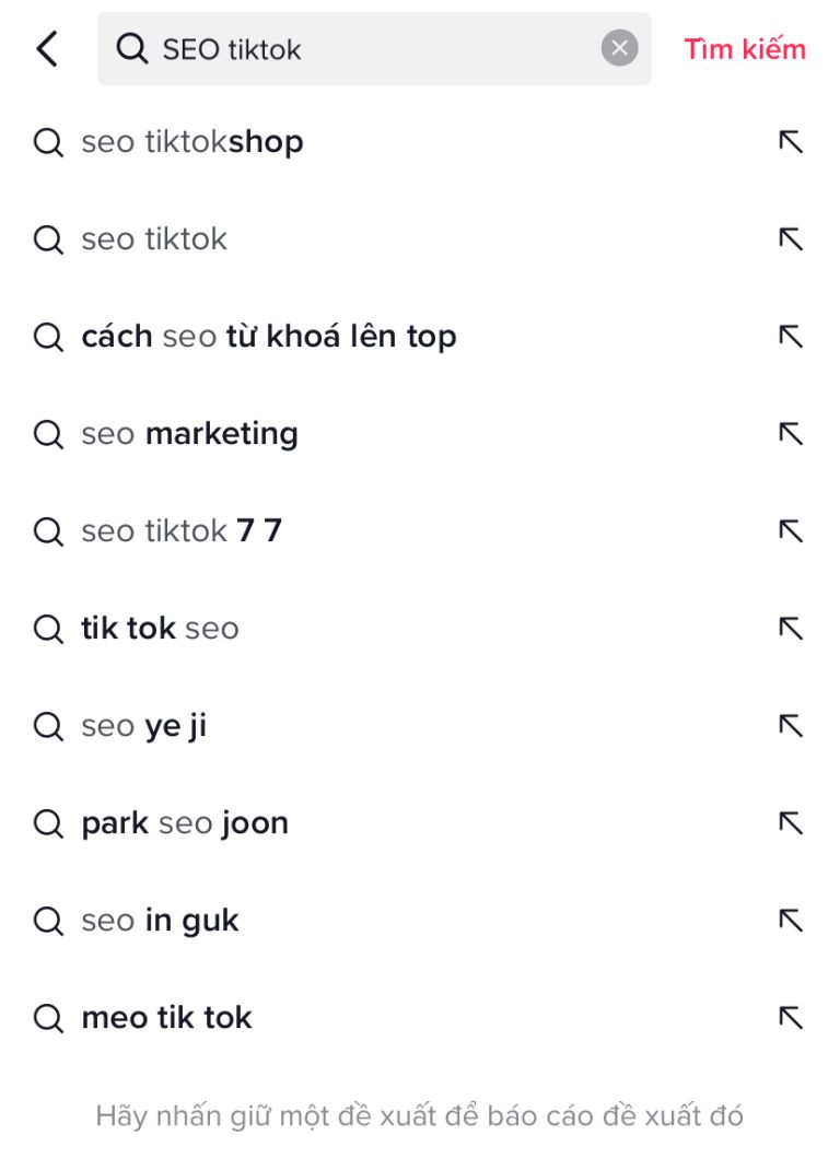 seo tiktok shop