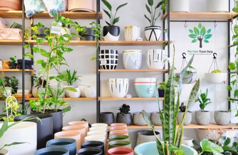 Kinh doanh cây cảnh mini