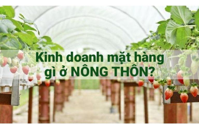 Kinh doanh ở nông thôn