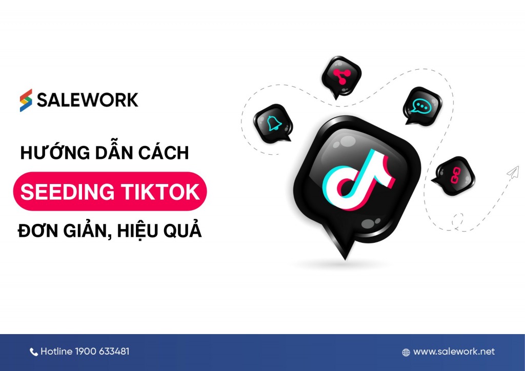 Hướng dẫn cách seeding TikTok đơn giản, hiệu quả